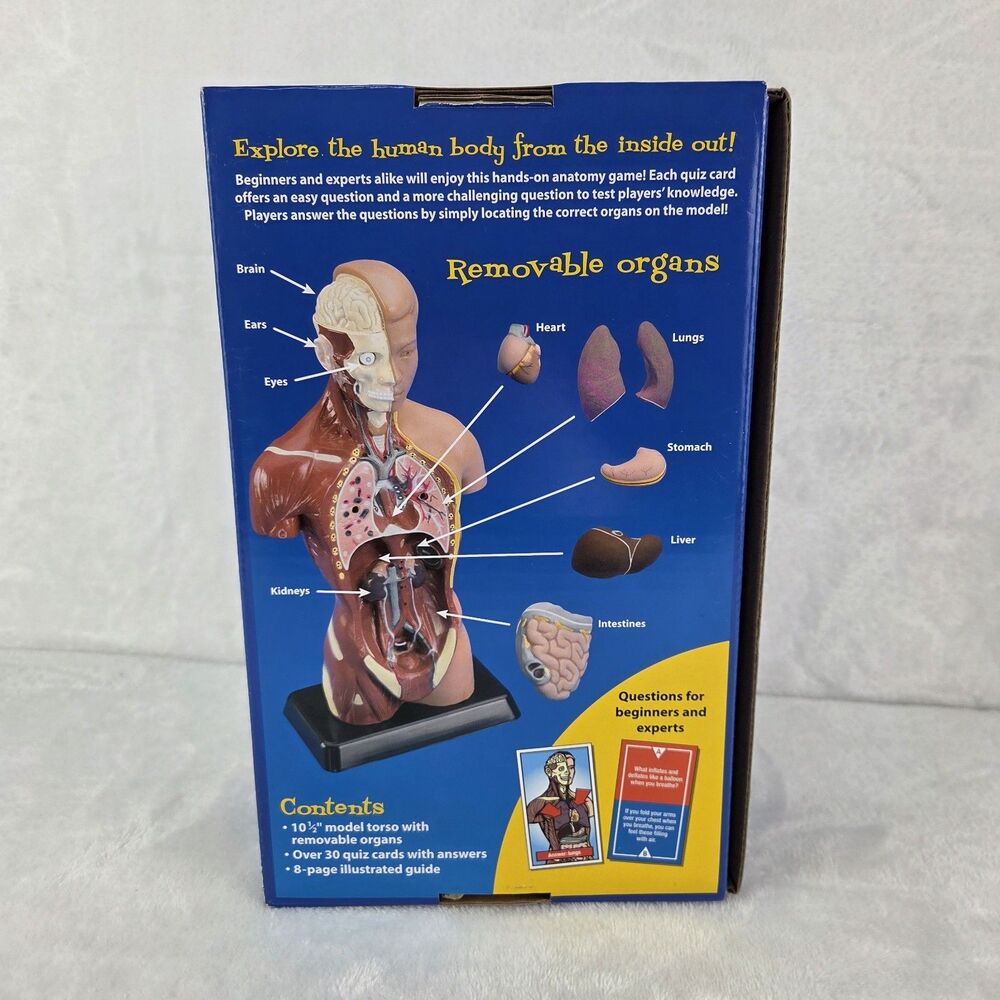 Lakeshore Fascinating Facts Human Body Game Anatomy Model Complete 2013 GG114 - Picture 11 of 13
